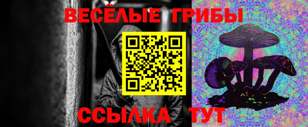 Галлюциногенные грибы Cubensis  Вход с VPN  Псилоцибиновые грибы GOLDEN TEACHER  Отрадное 