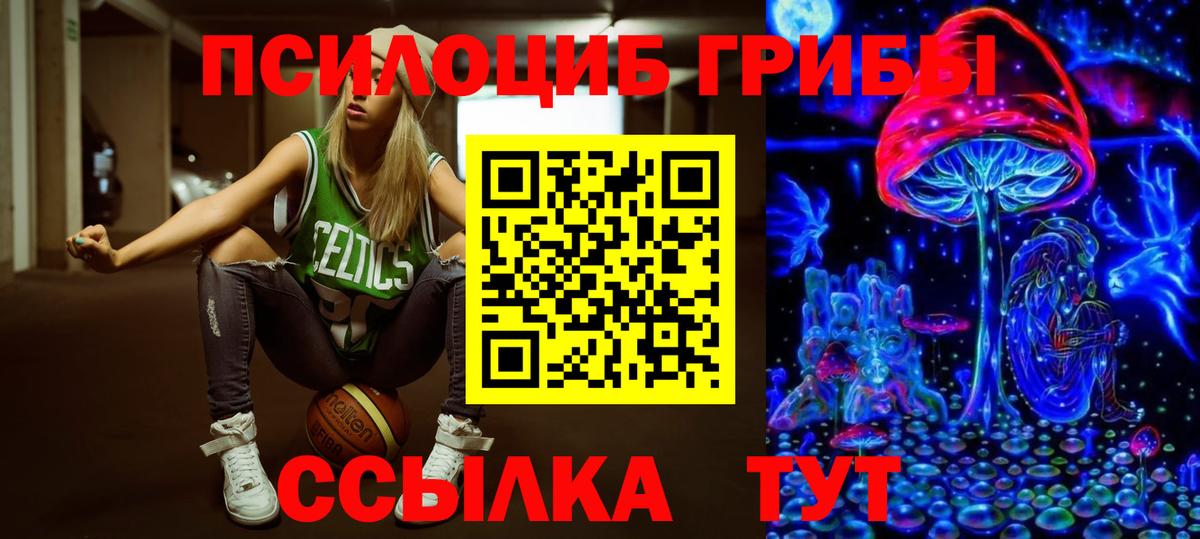Псилоцибиновые грибы Psilocybe Отрадное